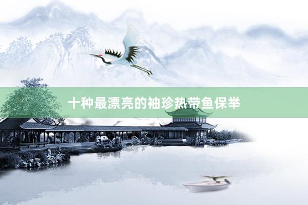 十种最漂亮的袖珍热带鱼保举