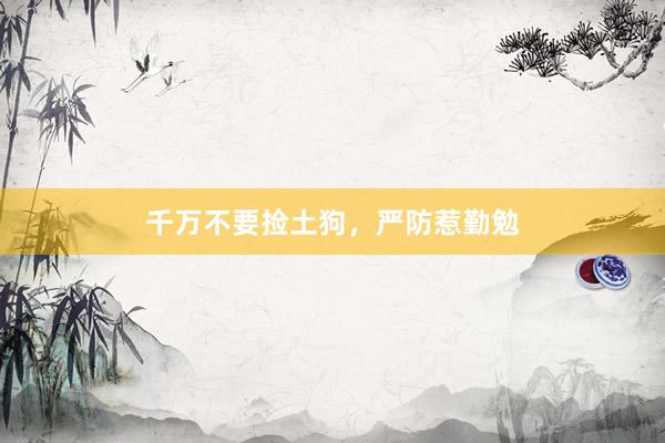 千万不要捡土狗，严防惹勤勉